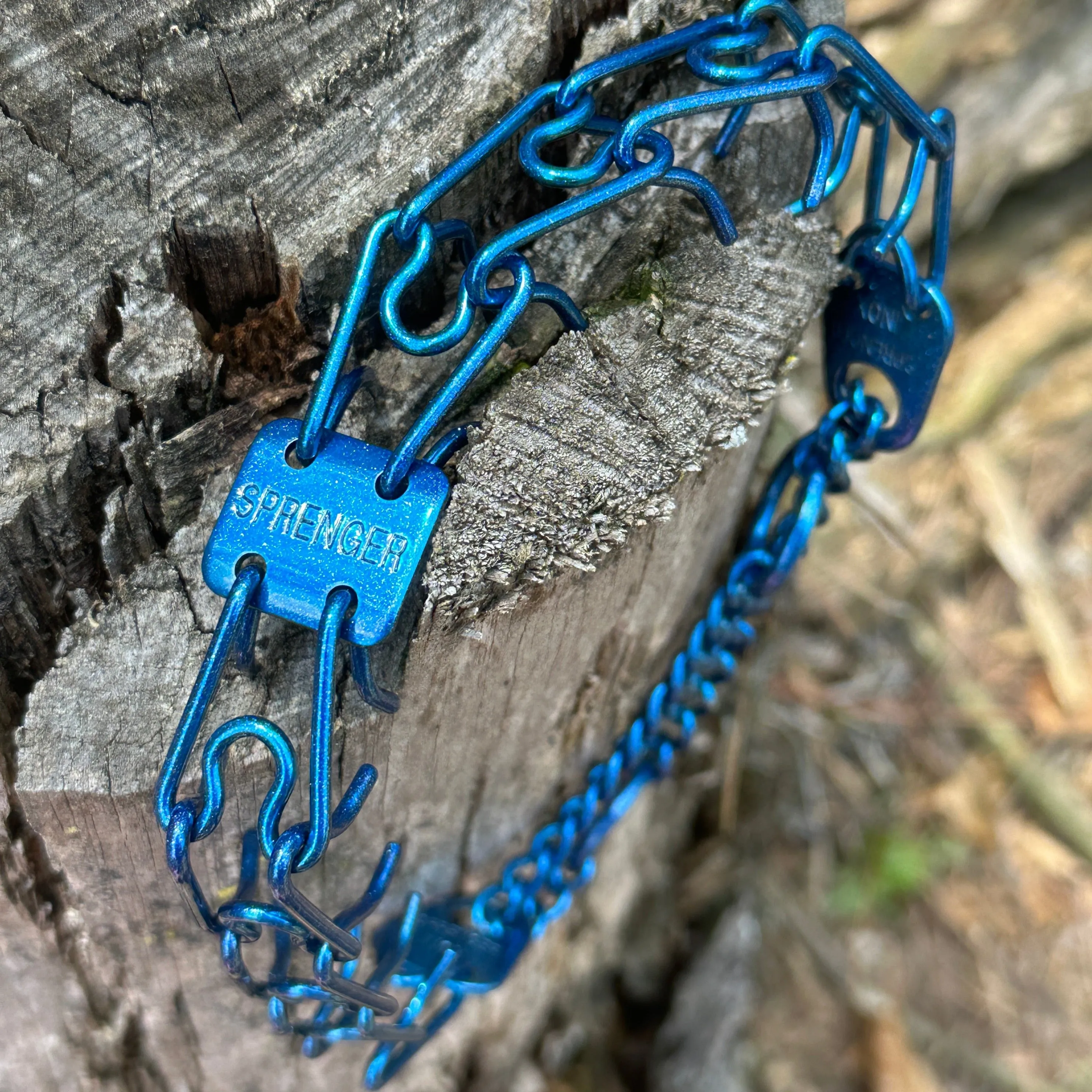 Booty Blue Custom Powder Coated Herm Sprenger Prong Collar for Dogs
