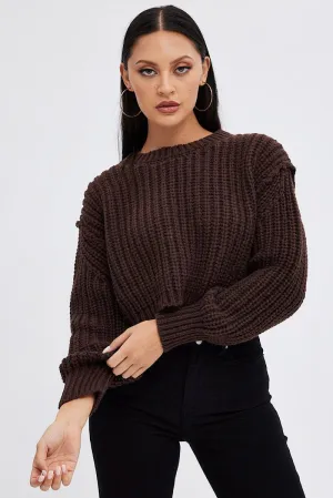 Brown Knit Top Round Neck Long Sleeve Crop