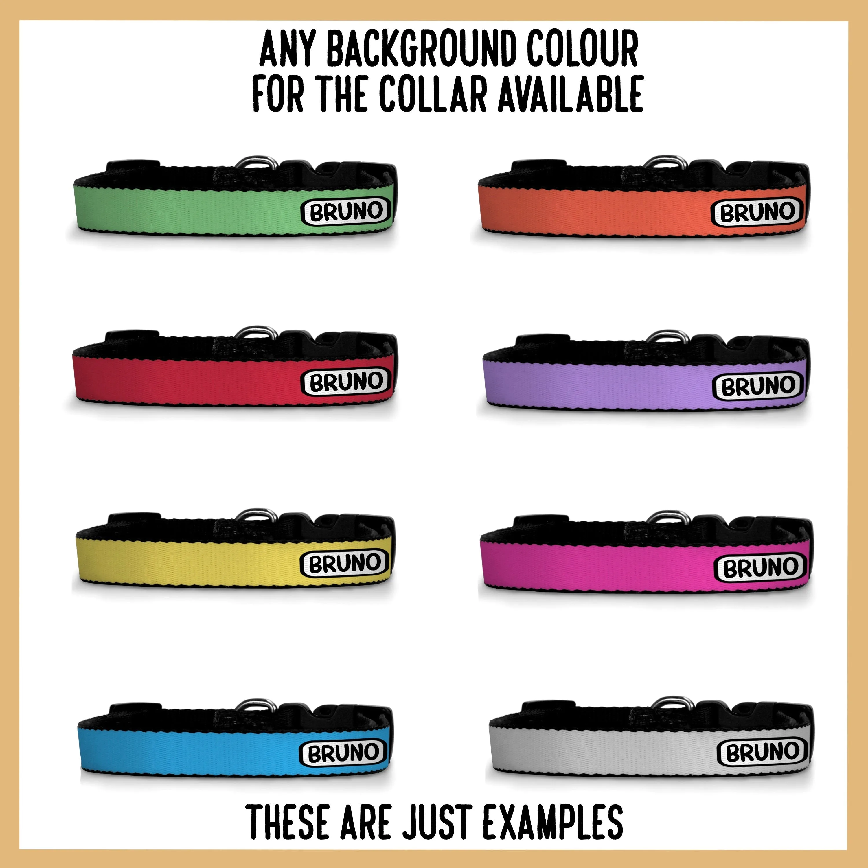 Dogo Argentino Collar