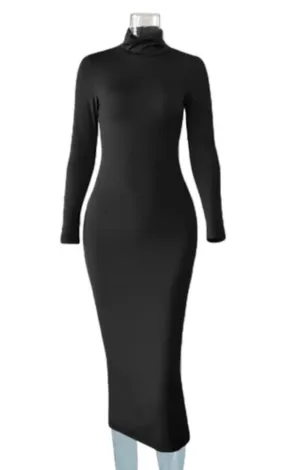 Mia Turtle Neck Dress