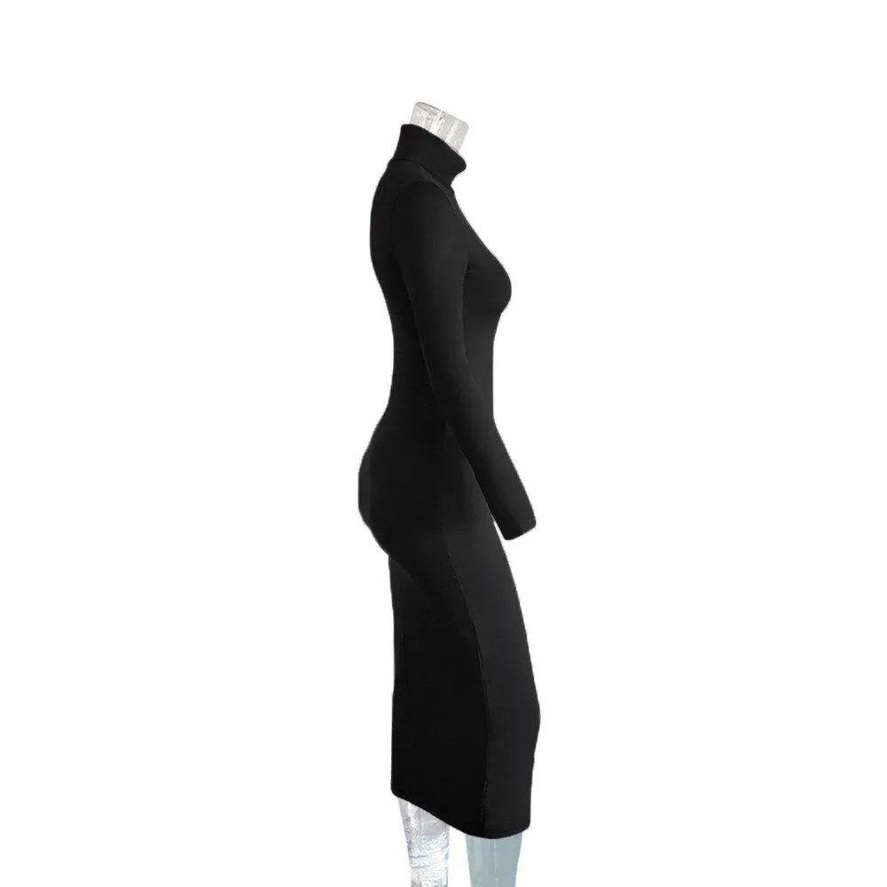 Mia Turtle Neck Dress
