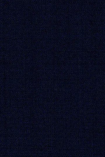 Navy Blue Mandarin Collar Suit