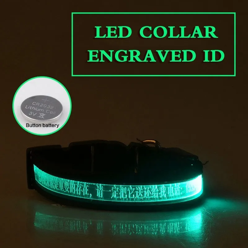 Pet Glow Collar Radium Carved Lettering Dog Collar / Collar luminoso para mascotas con letras talladas en radio
