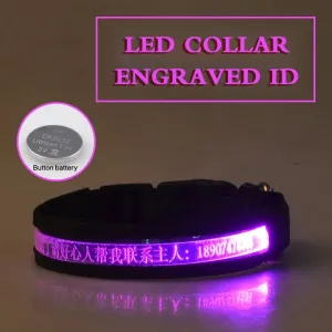 Pet Glow Collar Radium Carved Lettering Dog Collar / Collar luminoso para mascotas con letras talladas en radio