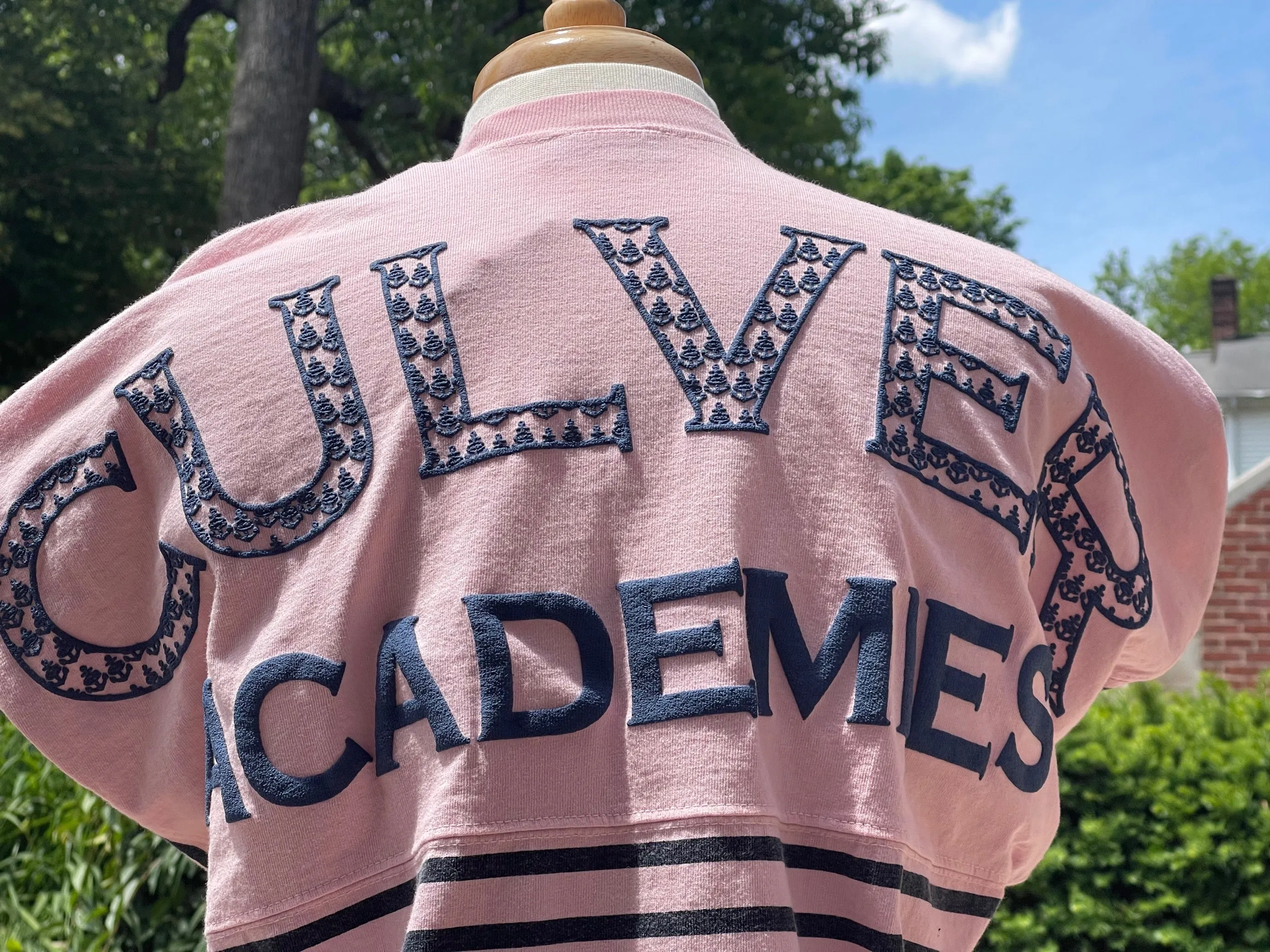 Printed Stripe Crew Neck Millennial -  Pink/Navy